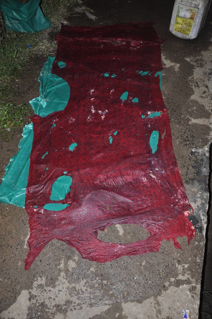 1760093409 WhatsApp Image 2025 10 10 at 14.46.51